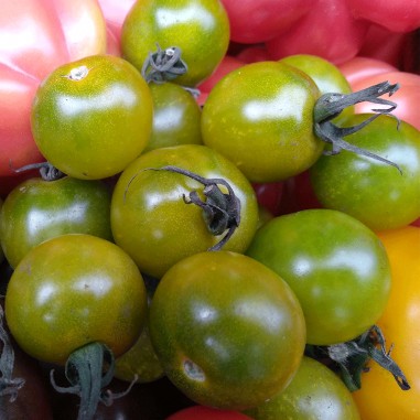 Tomate cherry verde - Bolsa x 1 kg