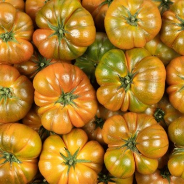 Tomate raf - Bolsa x 1 kg