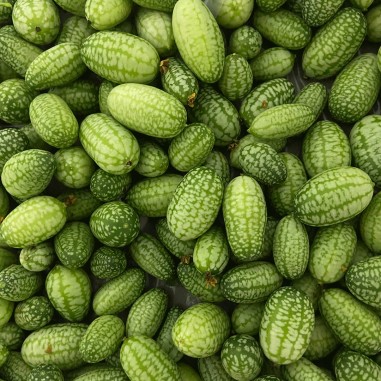 pepino Cucamelon - Bolsa x 500 gr