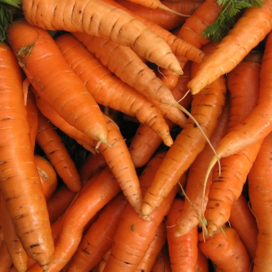 Zanahoria  sin hojas naranja - Kg